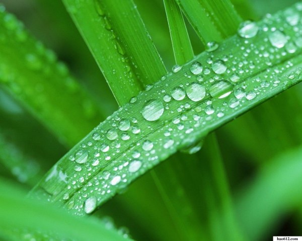 水珠样式