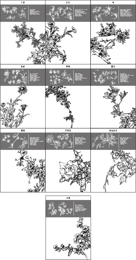 中国工笔画图谱矢量素材21~30
