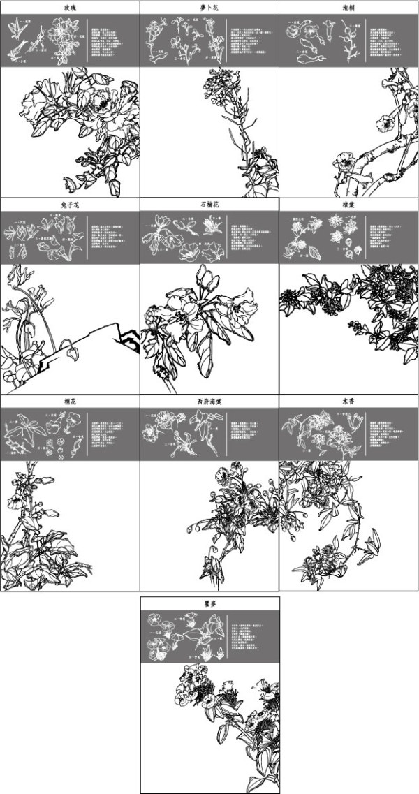 中国工笔画图谱矢量素材41~50