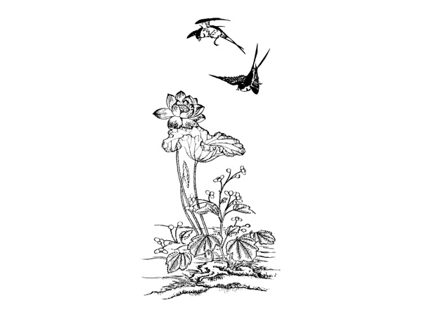 喜鹊荷花古典矢量素材