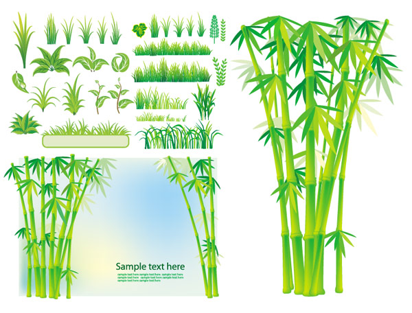 竹子植物小草矢量素材