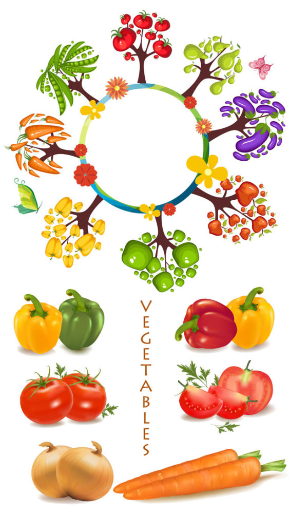 蔬菜矢量素材