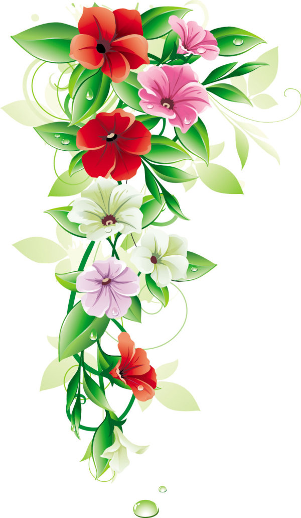 精美鲜花01&mdash;&mdash;矢量素材
