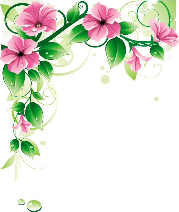 精美鲜花03&mdash;&mdash;矢量素材
