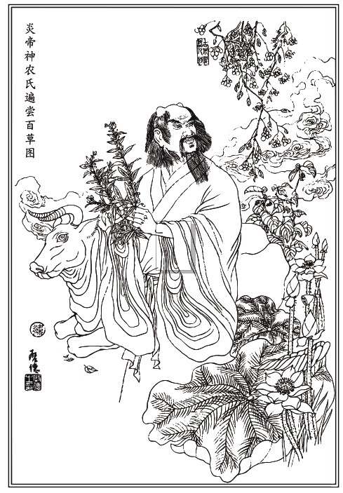 炎帝神农氏遍尝百草图矢量素材