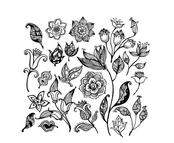 黑白花纹花朵&mdash;&mdash;矢量素材
