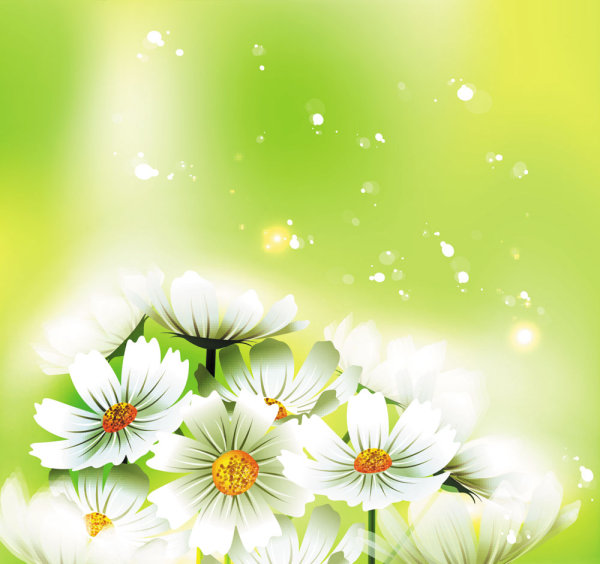 精美鲜花01&mdash;&mdash;矢量素材