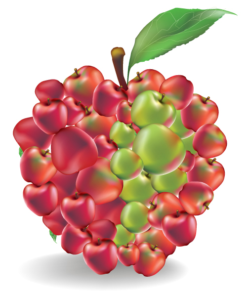 Tasty fruit 05 - vector material