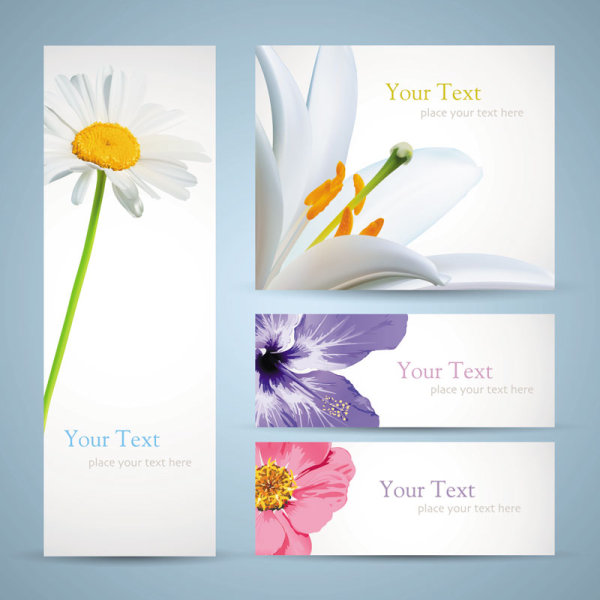 Flowers banner 01 - vector material