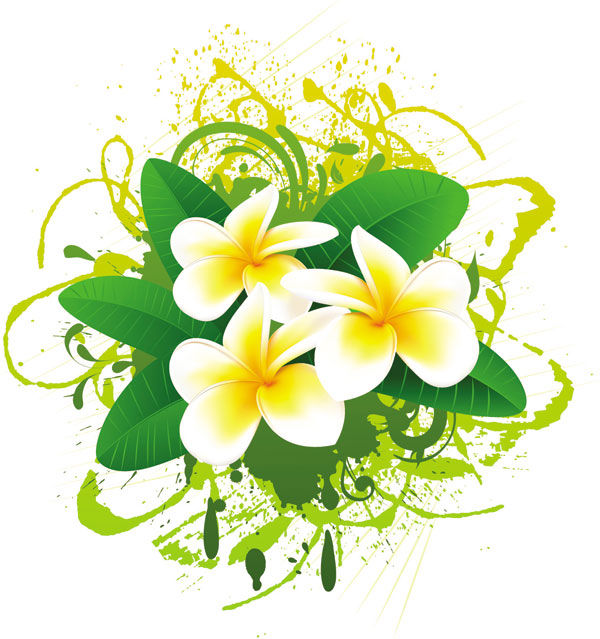 Beautiful flowers banner 01 - vector material