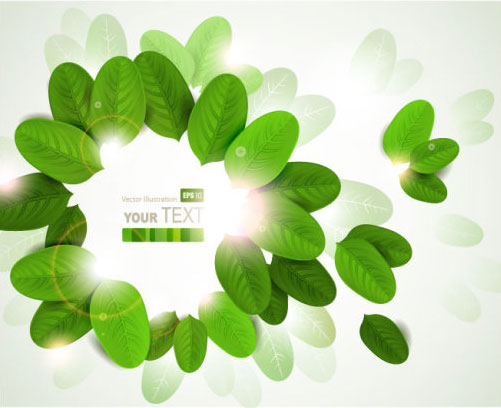 Green Leaf card 03 - vector material