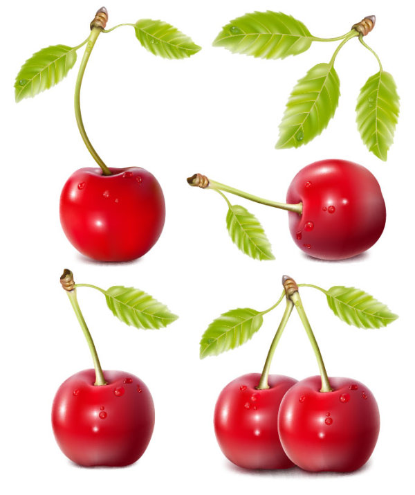 Fruit Picture 02 - vector material