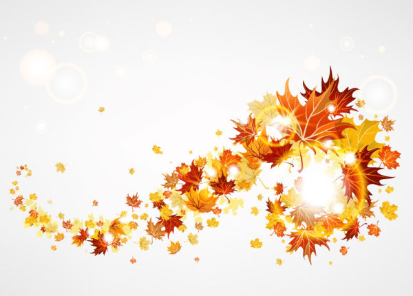 Maple Leaf background 01 - vector material
