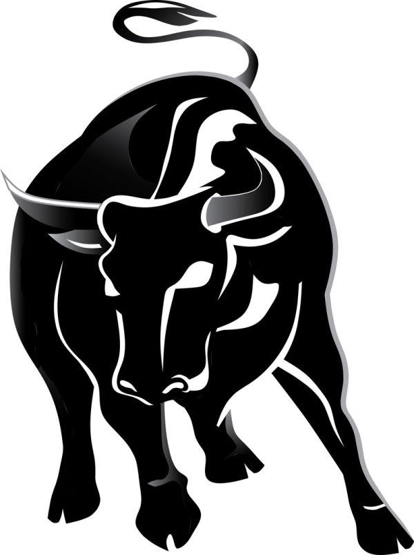 Raging Bull background 04 - vector material