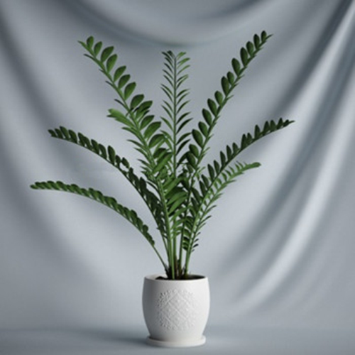 3d model of indoor potted