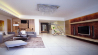 A minimalist decorative white living room