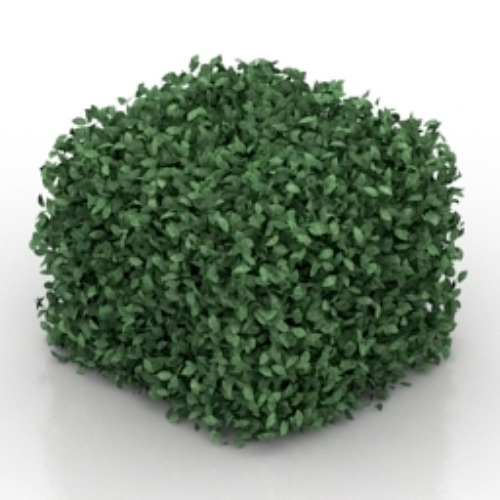 square leaves model
