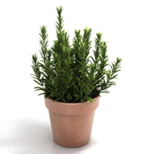 Household pot model