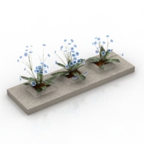 Orchid model