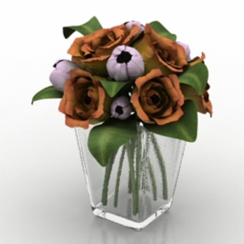 rose flower