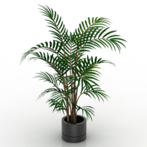 Simple bonsai 3d model