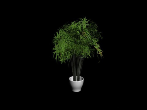 3d model green