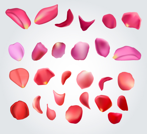 27 models rose petal design vector material
