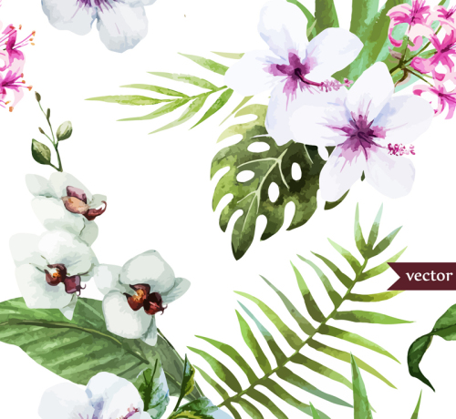 White hibiscus and butterfly orchid Vectors